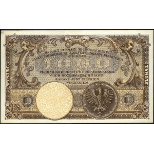 1.000 złotych 28.02.1919, Miłczak 55a, Lucow 599 (R5), ...