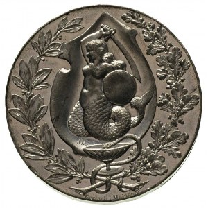 medal - Wystawa Higieniczna w Warszawie, 1896 r., Aw: W...