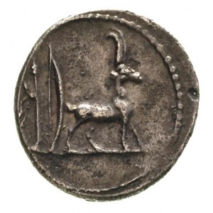 Cn. Plancius 55 pne, denar, Aw: Głowa Macedonii w prawo...