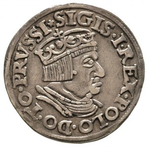trojak 1536, Gdańsk, T. 2