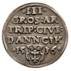 trojak 1536, Gdańsk, T. 2
