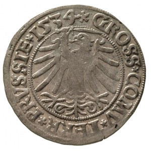 grosz 1534, Toruń, ładnie zachowany