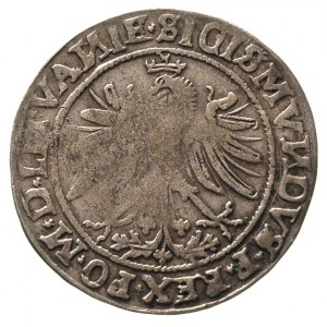 grosz 1535, Wilno, litery N w napisach odwrócone, Ivana...