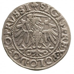 grosz 1540, Elbląg
