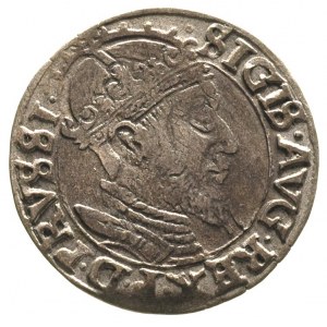 grosz 1556, Gdańsk, odmiana z dużą głową króla, T. 4, m...