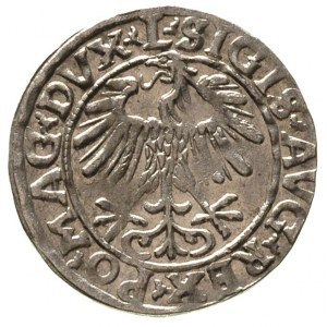 półgrosz 1556, Wilno, napisy L / LITVA, Ivanauskas 493:...