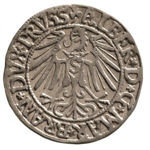 grosz 1546, Królewiec, Bahr. 1202, Neumann 47, bardzo ł...