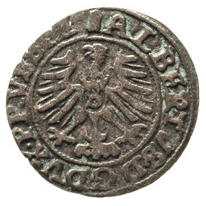 szeląg 1559, Królewiec, Bahr. 1225, Neumann 48, ciemna ...