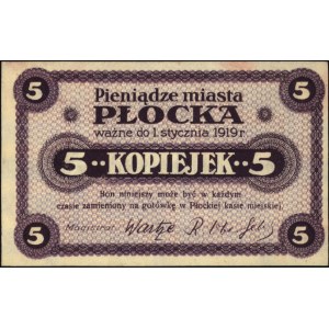 Płock- miasto, 5 i 20 kopiejek ważne do 1.01.1919, Podc...