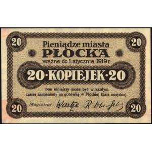 Płock- miasto, 5 i 20 kopiejek ważne do 1.01.1919, Podc...
