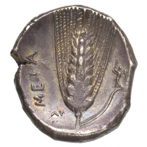 LUKANIA-Metapont, stater 330-300 pne, Aw: Głowa Persefo...