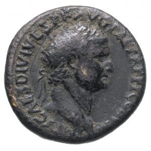 Tytus 79-81, as 80-81, Lugdunum, Aw: Głowa cesarza w pr...