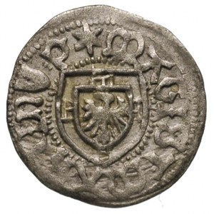 Marcin Truchses von Wetzhausen 1477-1489, szeląg, Aw: T...