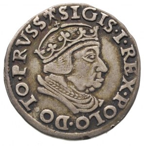 trojak 1538, Gdańsk, patyna