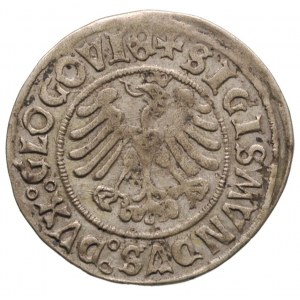 grosz 1506, Głogów, Fbg 296 moneta królewicza Zygmunta ...