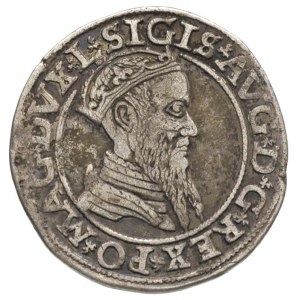 czworak 1566, Wilno, Ivanauskas 659:96
