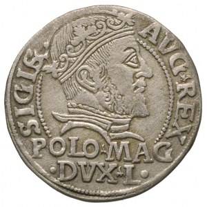 grosz na stopę polską 1547, Wilno, Ivanauskas 559:82
