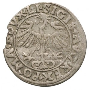 półgrosz 1556, Wilno, na rewersie omyłkowy napis MONETA...