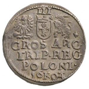 trojak 1603/4, Kraków, patyna