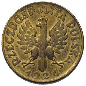 2 złote 1924, bez znaku mennicy, mosiądz 8.43 g, Parchi...