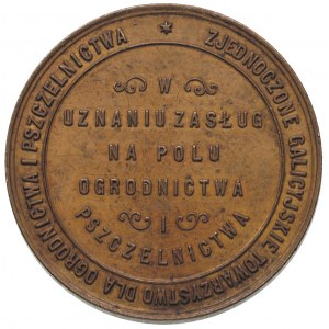 medal nagrodowy bez daty /ok.1900/, Aw: Kobieta w długi...