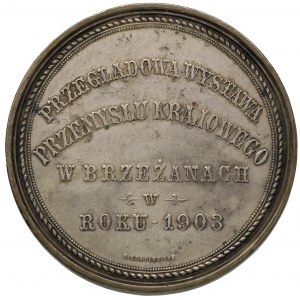 medal Wystawy Przemysłowej w Brzeżanach 1903 r., Aw: Na...