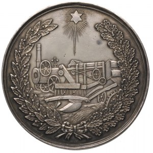 medal Wileńskigo Towarzystwa Jeździeckiego, koniec XIX ...