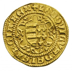 Ludwik Węgierski 1342-1370-1382, goldgulden, Aw: Tarcza...