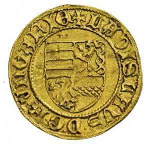 Ładysław V 1453-1457, goldgulden, Aw: Czteropolowa tarc...