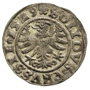 szeląg 1529, Toruń, bardzo ładny egzemplarz z dużym bla...