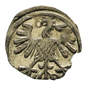 denar 1559, Wilno, Ivanauskas 443:63, T.8, drobna wada ...