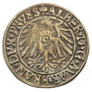 grosz 1541, Królewiec, rzadsza odmiana z krótszą brodą,...
