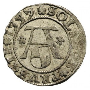 szeląg 1557, Królewiec, Bahr. 1217, Neumann 48, bardzo ...