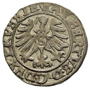 szeląg 1558, Królewiec, Bahr. 1223, Neumann 48, bardzo ...
