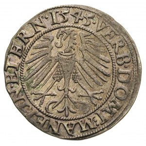 grosz 1545, Legnica, F.u.S. 1370, piękny, ciemna patyna