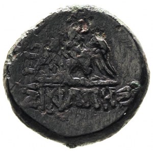Paflagonia, Sinope, brąz AE-20 ok. 85-65 pne, Aw: Głowa...