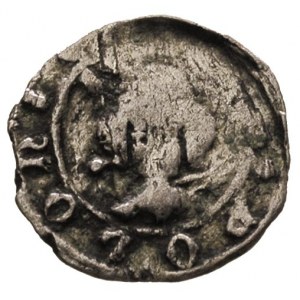 Kazimierz Wielki 1333-1370, denar koronny, Aw: Głowa kr...