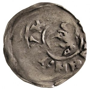 Barnim I Pobożny 1264-1278, denar, Aw: Popiersie księci...