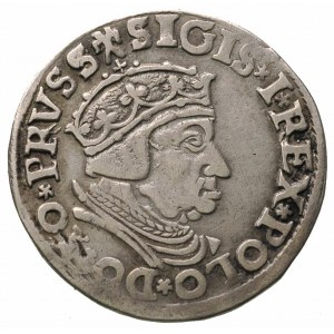 trojak 1537, Gdańsk, popiersie króla w koronie i w czep...