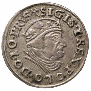 trojak 1539, Gdańsk, korona króla bez krzyżyka, awers I...
