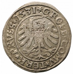 grosz 1531, Toruń