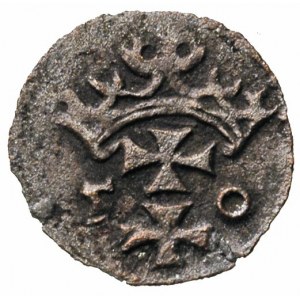 denar 1550, Gdańsk, T. 12, rzadki, ciemna patyna 