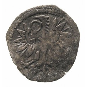 denar 1591, Wschowa, H-Cz. 847 R3, T. 20, bardzo rzadki...