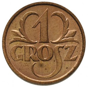 1 grosz 1925, Warszawa, Parchimowicz 101.b, wyśmienity ...
