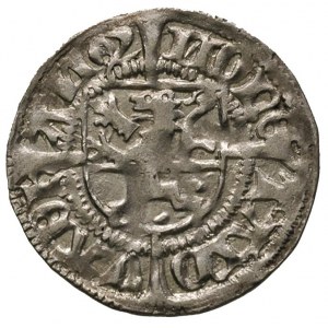 szeląg 1492, Dąbie, Dannenberg 380