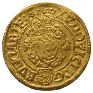 Ludwik II Jagiellończyk 1515-1526, goldgulden 1525, Her...