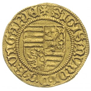 Zygmunt I 1387-1437, goldgulden 1428-1429, Krzemnica, A...