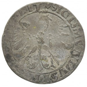 grosz 1535, Wilno, odmiana z literą N pod Pogonią, końc...