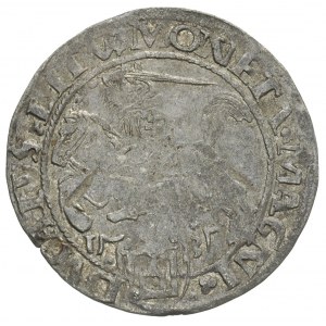 grosz 1535, Wilno, odmiana z literą N pod Pogonią, końc...