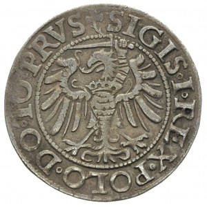 grosz 1539, Elbląg